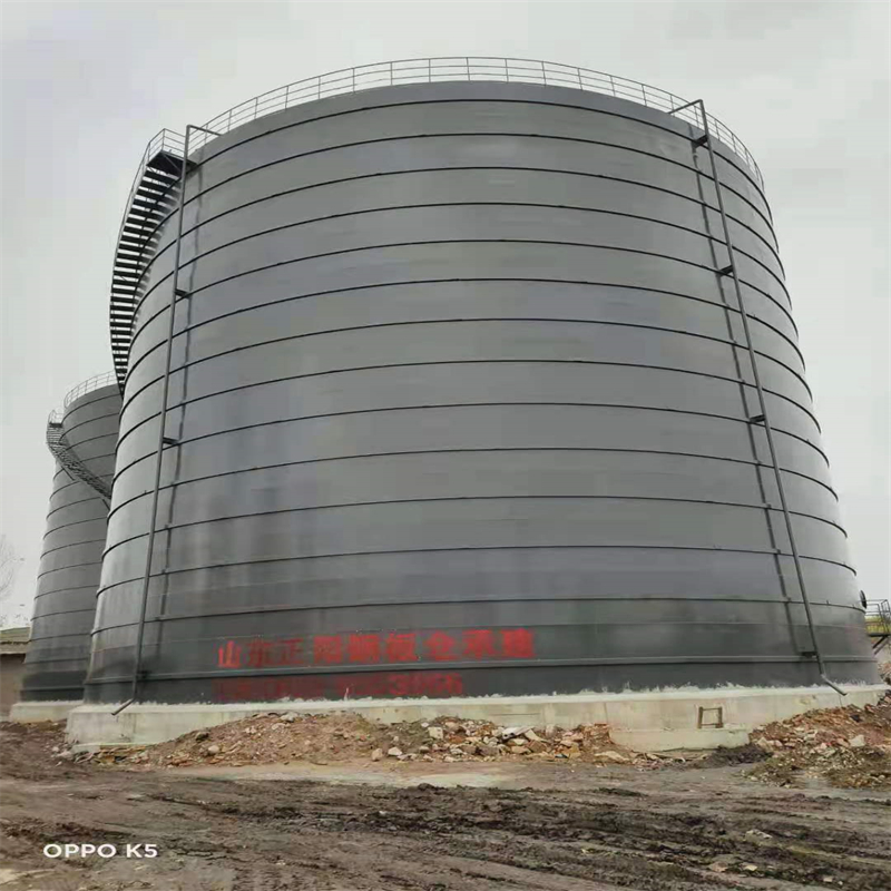 港口镇3万吨大型钢板库