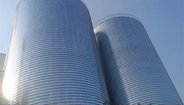 港口镇2座混凝土高架卷板仓